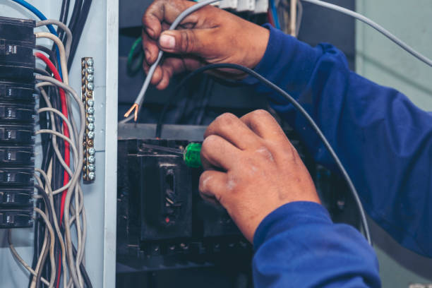 Best Licensed Electrician  in La Vernia, TX
